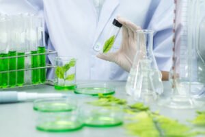 Jasa Uji Lab Obat Herbal